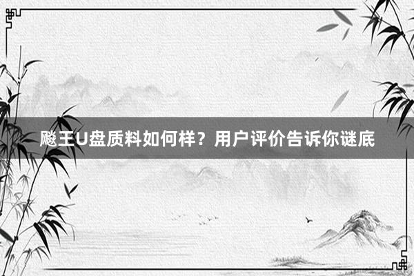 飚王U盘质料如何样？用户评价告诉你谜底
