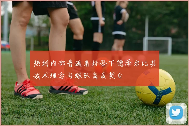 热刺内部普遍看好签下德泽尔比其战术理念与球队高度契合