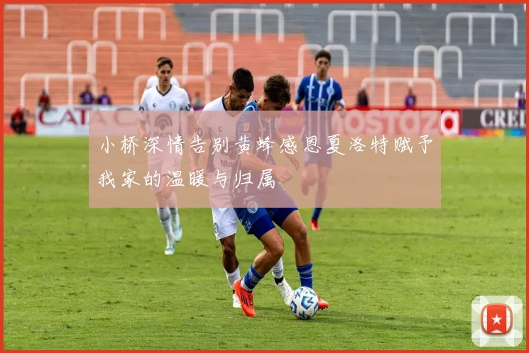 小桥深情告别黄蜂感恩夏洛特赋予我家的温暖与归属